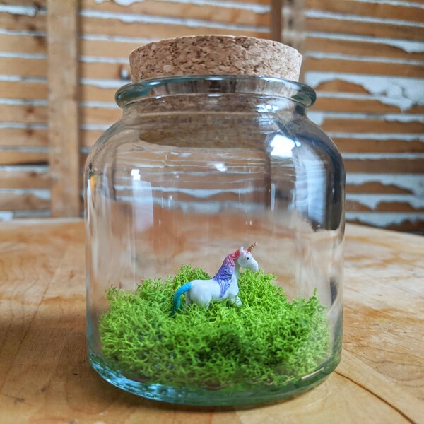 Unicorn Terrarium Etsy