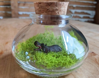 Miniature Hippo Terrarium by SBMathieu