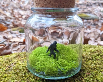 Miniature Bigfoot Terrarium by SBMathieu