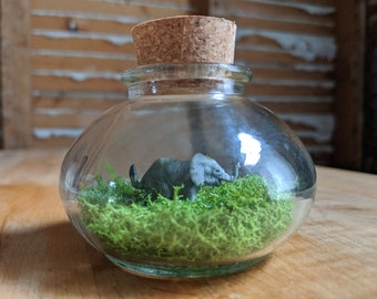 Miniature Elephant Terrarium by SBMathieu