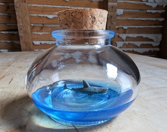 Miniature Shark Terrarium By SBMathieu
