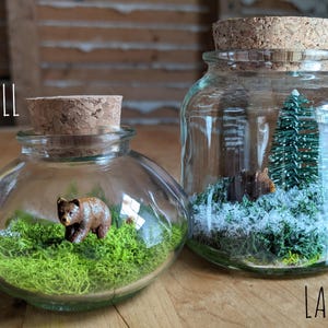 May include: Two glass terrariums with cork stoppers. The smaller one contains a brown bear figurine on green moss. The larger one features a miniature Christmas tree, a bear, and faux snow. The word "SMALL" is above the small terrarium and "LARGE" is below the large terrarium.