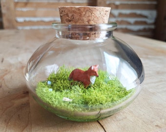 Miniature Red Fox Terrarium by SBMathieu