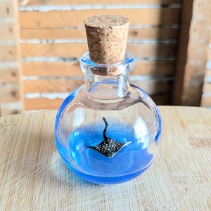 Miniature Spotted Eagle Ray Terrarium By SBMathieu