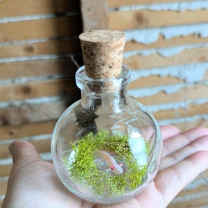 May include: A small, clear, spherical glass bottle with a cork stopper containing a miniature, light pink axolotl figurine resting on a bed of bright green, textured moss. The bottle is transparent and rounded, showcasing the detailed creature.