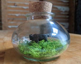 Miniature Bison Terrarium by SBMathieu