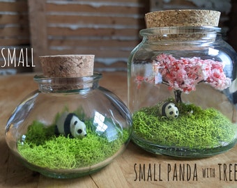 Miniature Giant Panda Terrarium by SBMathieu