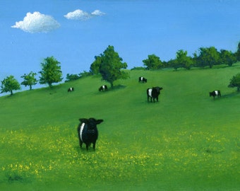 Belted Galloways on a Hill - 4 x 6 Print of Original Painting by SBMathieu