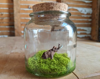 Miniature Woolly Mammoth Terrarium by SBMathieu