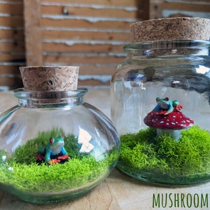 Miniature Red Eyed Tree Frog Terrariums by SBMathieu