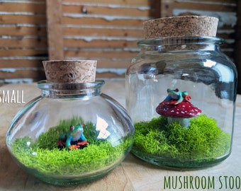 Miniature Red Eyed Tree Frog Terrariums by SBMathieu