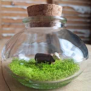 Miniature Hereford Cow Terrarium by SBMathieu