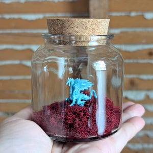 Miniature Dragon Terrariums by SBMathieu