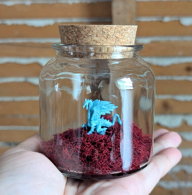 Terrarios de dragones en miniatura de SBMathieu imagen 1