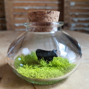 Miniature Black Angus Cow Terrarium by SBMathieu