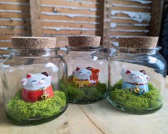 Lucky Cat Miniature Terrarium by SBMathieu