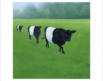Three Belted Galloways in a Row 6 x 6 Print by SBMathieu