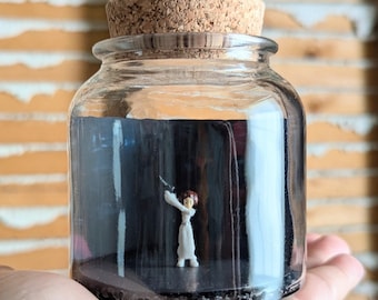 Princess Leia Tribute Miniature Terrariums by SBMathieu