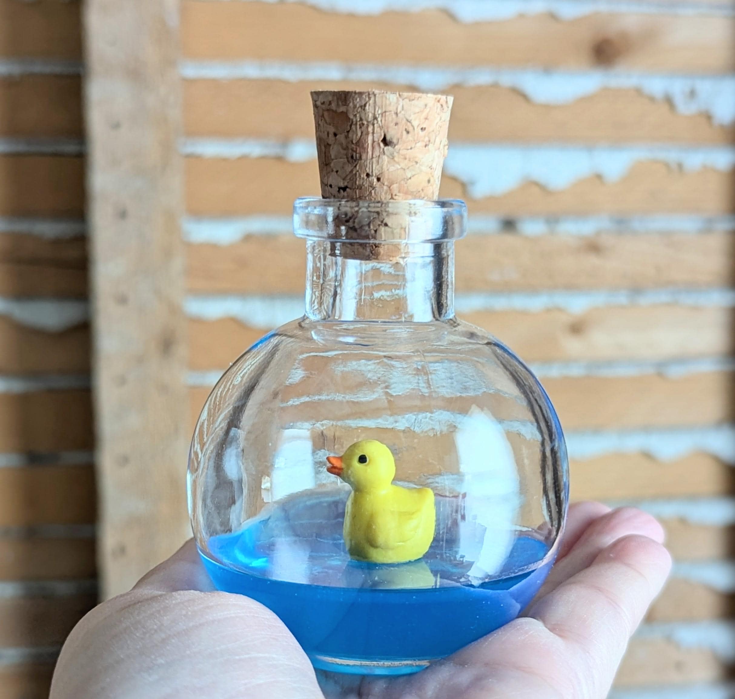 Mini Duck Jar - Etsy