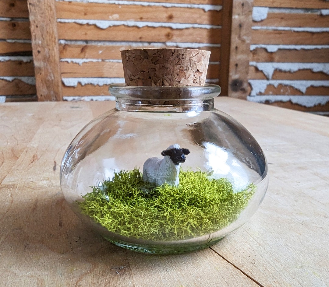 Miniature Sheep Terrarium by Sbmathieu Etsy