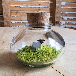 Miniature Sheep Terrarium by SBMathieu