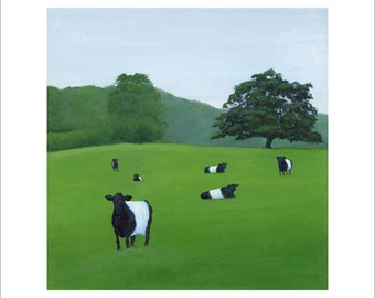 Six Belted Galloways on a Hill 6 x 6 Print by SBMathieu