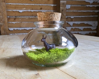 Terrarium Miniature à Okapi par SBMathieu