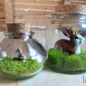 Miniature Jackalope Terrariums by SBMathieu