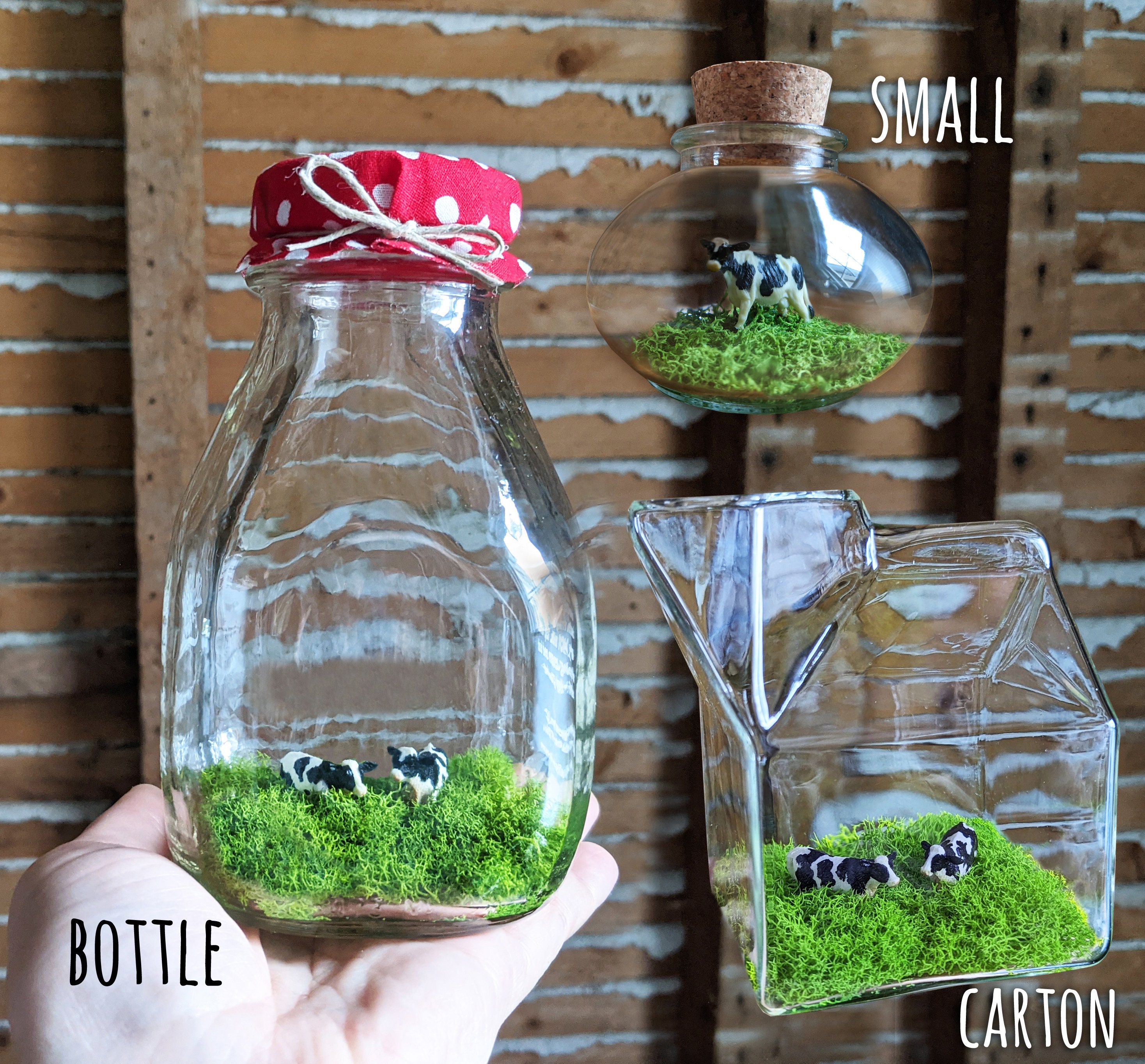 Miniature Holstein Terrarium by SBMathieu