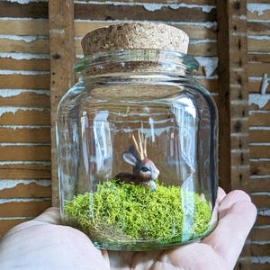 Miniature Jackalope Terrariums by SBMathieu