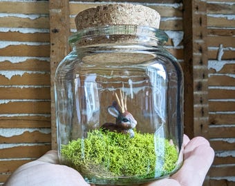 Miniature Jackalope Terrariums by SBMathieu