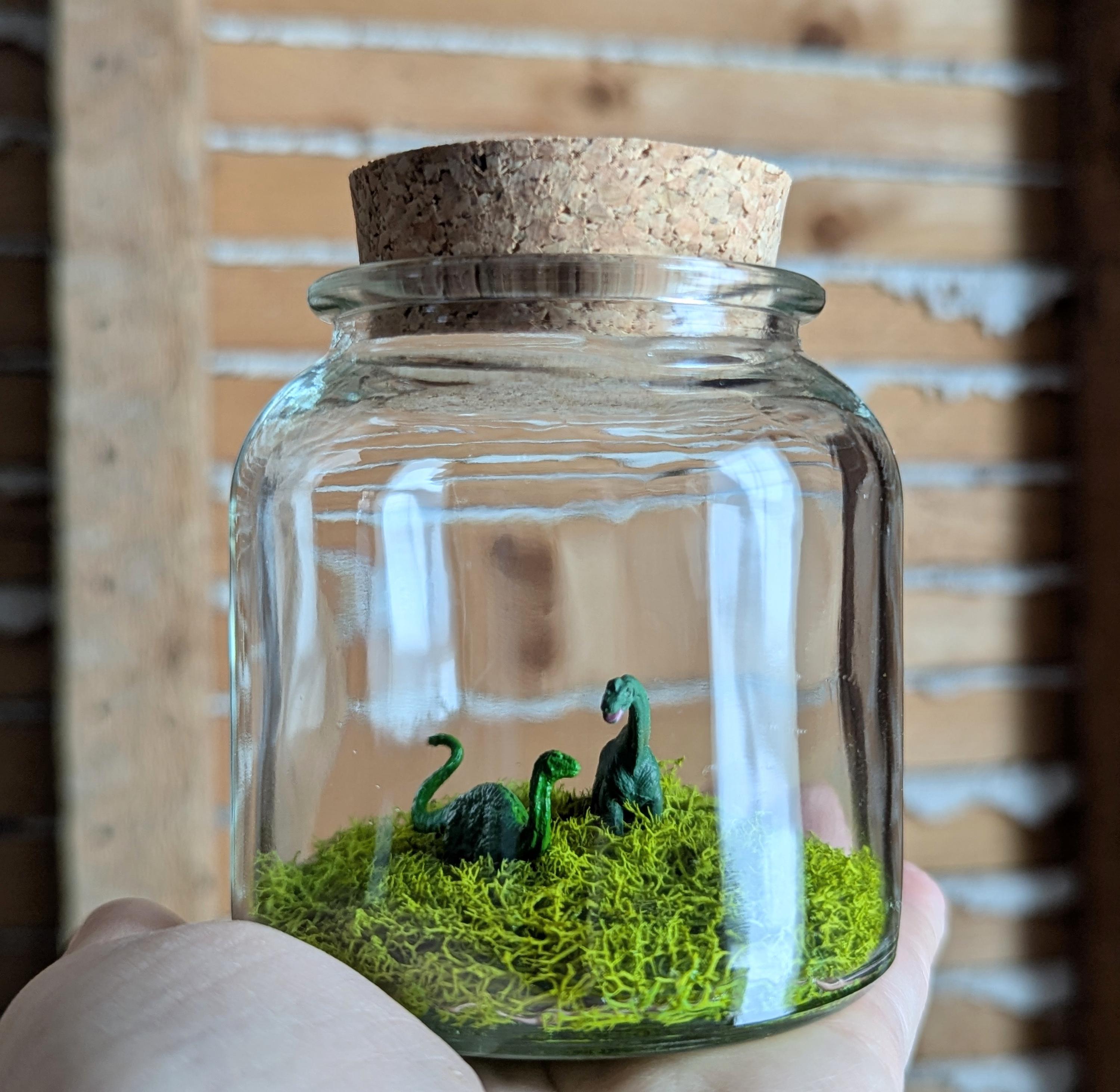 Terrarium de Plantes Kit DIY avec Éclairage Écosystème Fermé Verre 31 cm H 30 cm - PANGIVO Terrarium de Plantes Kit DIY avec Éclairage Écosystème Fermé Verre 31 cm H 30 cm - PANGIVO