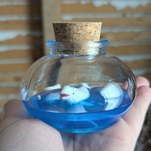 Miniature Beluga Whale Terrarium By SBMathieu