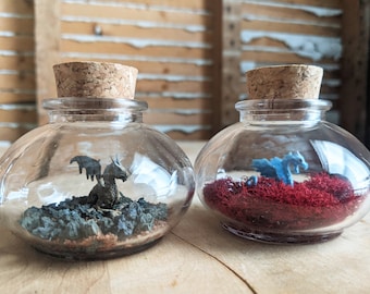 Miniature Dragon Terrariums by SBMathieu