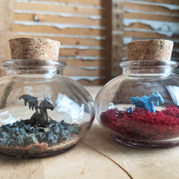 Miniature Dragon Terrariums by SBMathieu