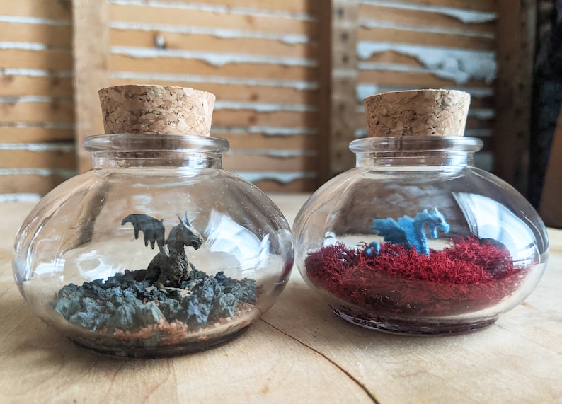 Puede incluir: Dos frascos de vidrio con tapas de corcho, cada uno contiene una figura de drag&oacute;n en miniatura. Un frasco tiene un drag&oacute;n gris sobre un lecho de rocas grises, mientras que el otro tiene un drag&oacute;n azul sobre un lecho de musgo rojo.