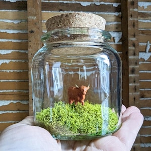 Miniature Highland Cow Terrarium by SBMathieu