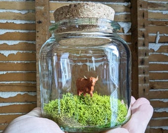 Miniature Highland Cow Terrarium by SBMathieu