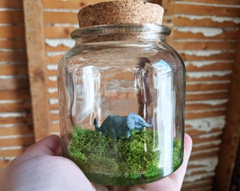 Miniature Elephant Terrarium by SBMathieu