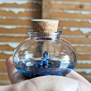 Miniature Sea Dragon Terrarium by SBMathieu
