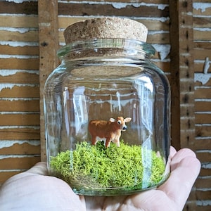 Miniature Jersey Cow Terrarium by SBMathieu