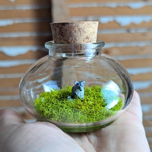 Miniature Wolf Terrarium by SBMathieu