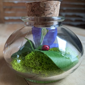 Miniature Ladybug Terrarium by SBMathieu