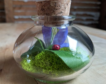 Miniature Ladybug Terrarium by SBMathieu