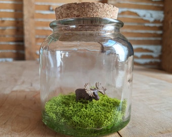 Miniature Moose Terrarium by SBMathieu