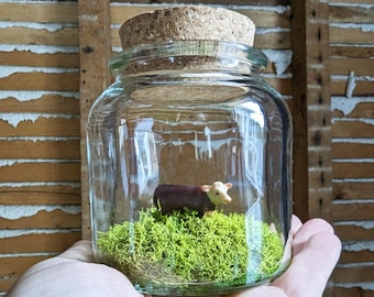 Miniature Hereford Cow Terrarium by SBMathieu