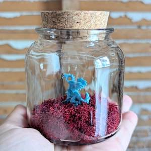 Terrarios de dragones en miniatura de SBMathieu imagen 3