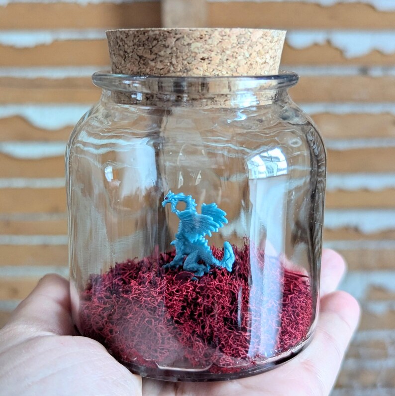Terrarios de dragones en miniatura de SBMathieu imagen 3