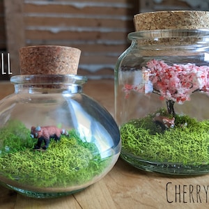 May include: Two glass jars with cork lids, each containing a miniature red panda figurine and green moss. The larger jar features a pink cherry blossom tree. The smaller jar is labelled "SMALL" and the larger jar is labelled "CHERRY TREE".