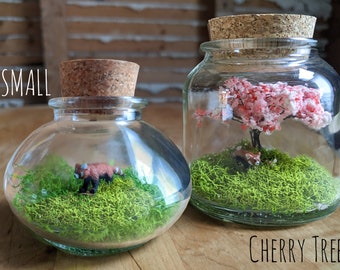 May include: Two glass jars with cork lids, each containing a miniature red panda figurine and green moss. The larger jar features a pink cherry blossom tree. The smaller jar is labeled "SMALL" and the larger jar is labeled "CHERRY TREE".